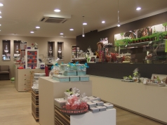 Schilderwerken Leonidas Maldegem